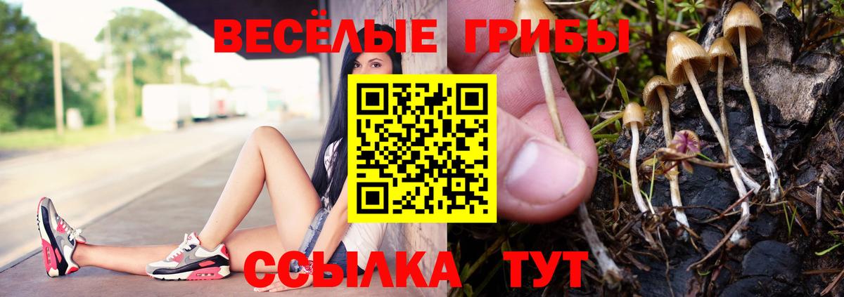 Псилоцибиновые грибы мицелий  Галлюциногенные грибы мухоморы  Боровичи  Вход с VPN 
